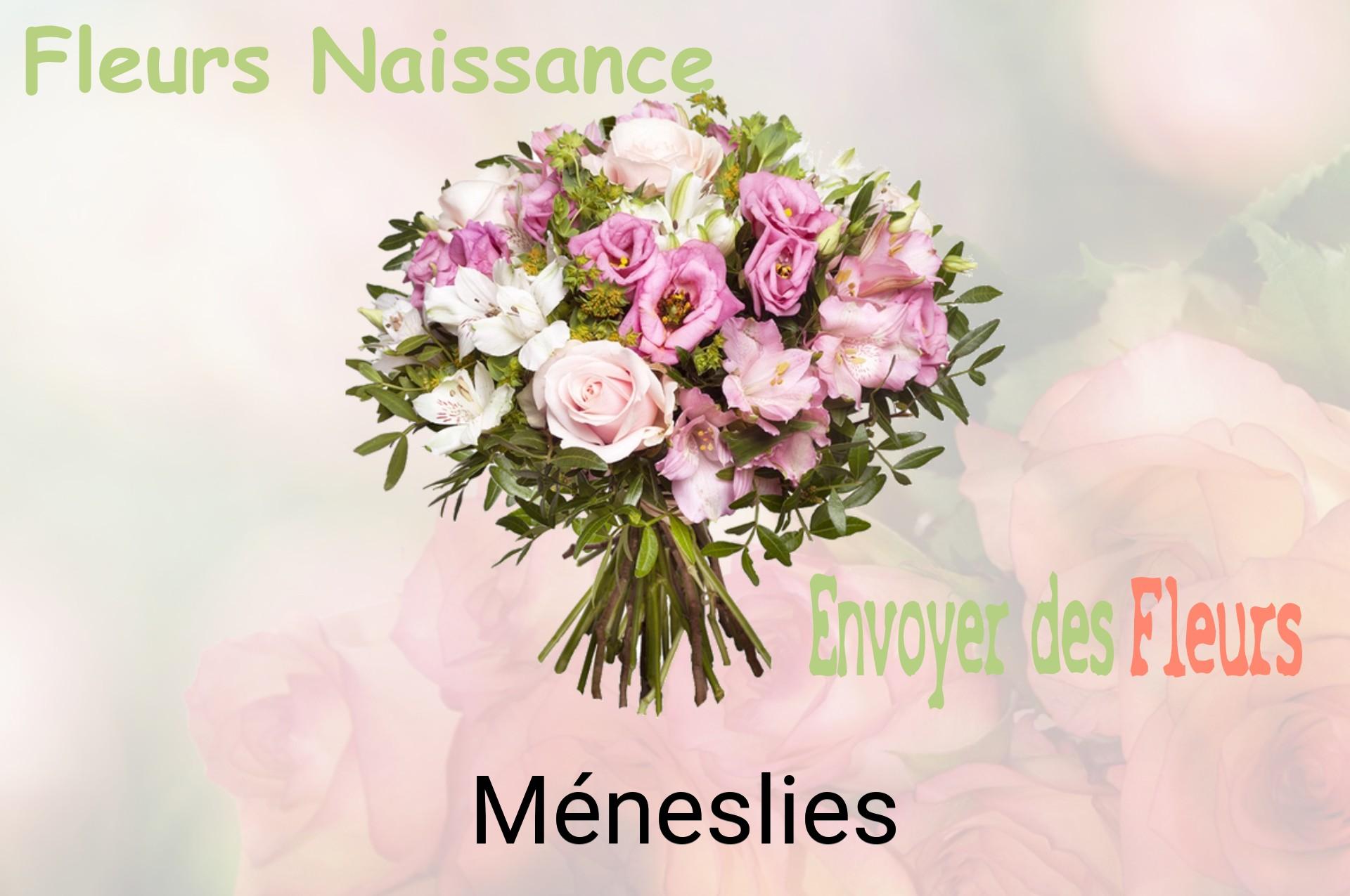 Bouquet de fleurs de naissance livré à Méneslies
