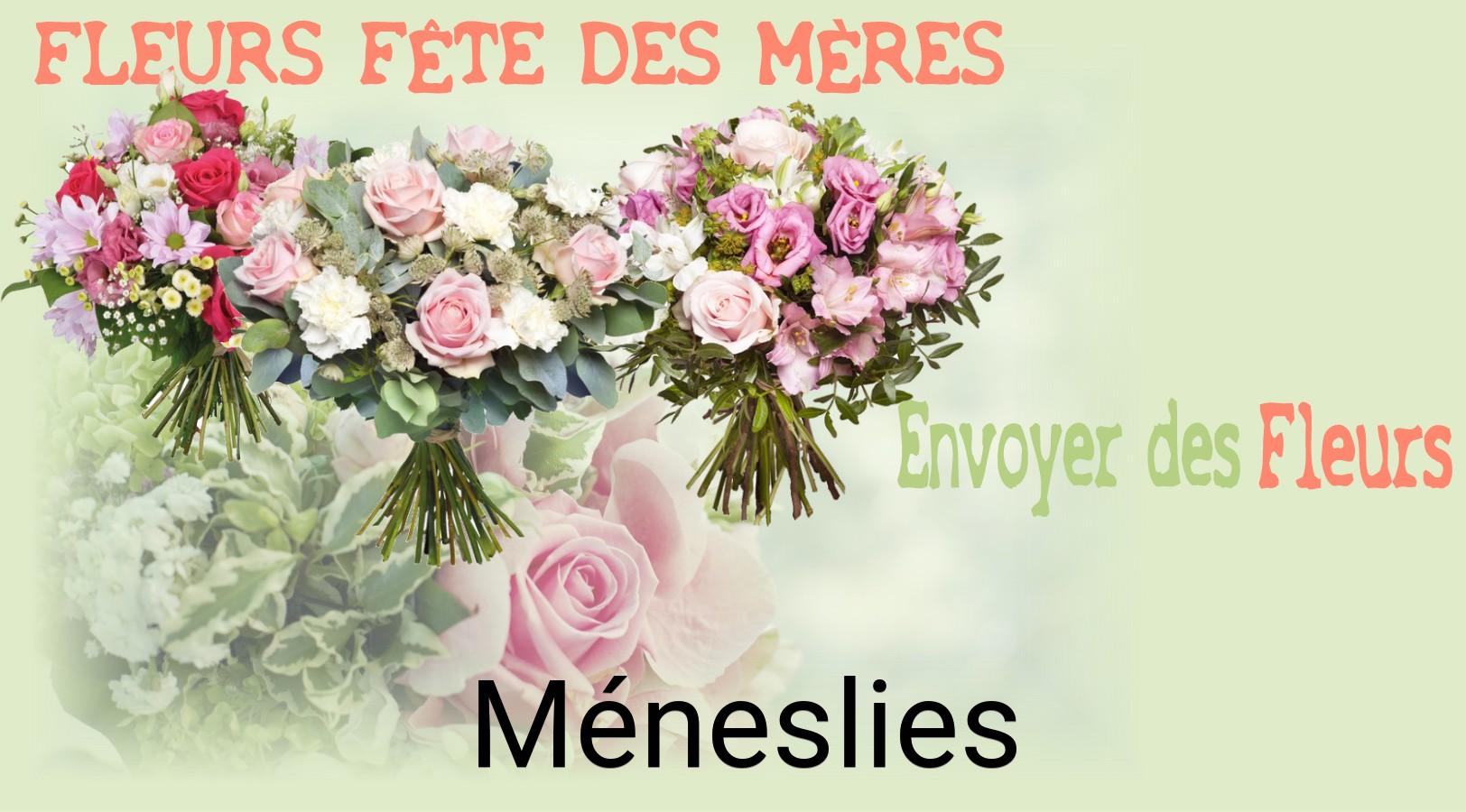 Bouquet de Fête des Mères livré à Méneslies